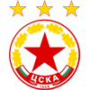 Флаг на отбора ЦСКА - София