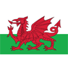 Флаг на отбора Уелс