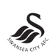 Лого на отбора Суонзи