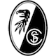 Флаг на отбора Фрайбург