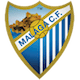Флаг на отбора Малага