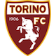 Лого на ФК Торино, Серия А