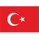 Национален отбор по футбол на Турция