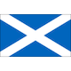 Флаг на отбора Шотландия