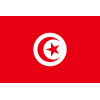 Флаг на отбора Тунис