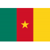 Флаг на отбора Камерун