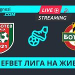 Ботев Враца – Ботев Пловдив: Гледай мача на живо Ботев Враца и Ботев Пловдив се изправят един срещу друг в мач от Първа лига — гледай на живо в 7dniprognozi.com